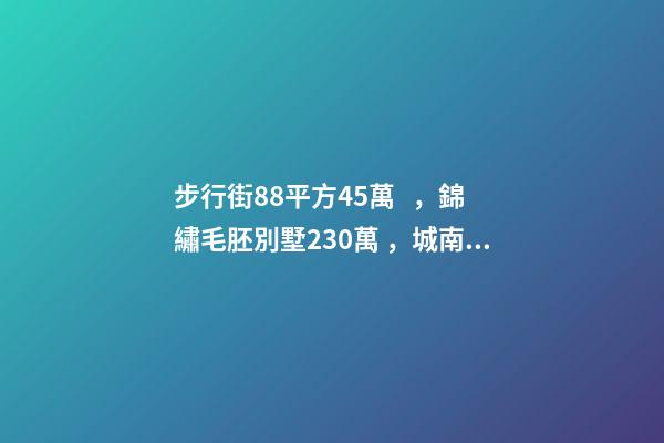 步行街88平方45萬，錦繡毛胚別墅230萬，城南自建房273平帶院165萬